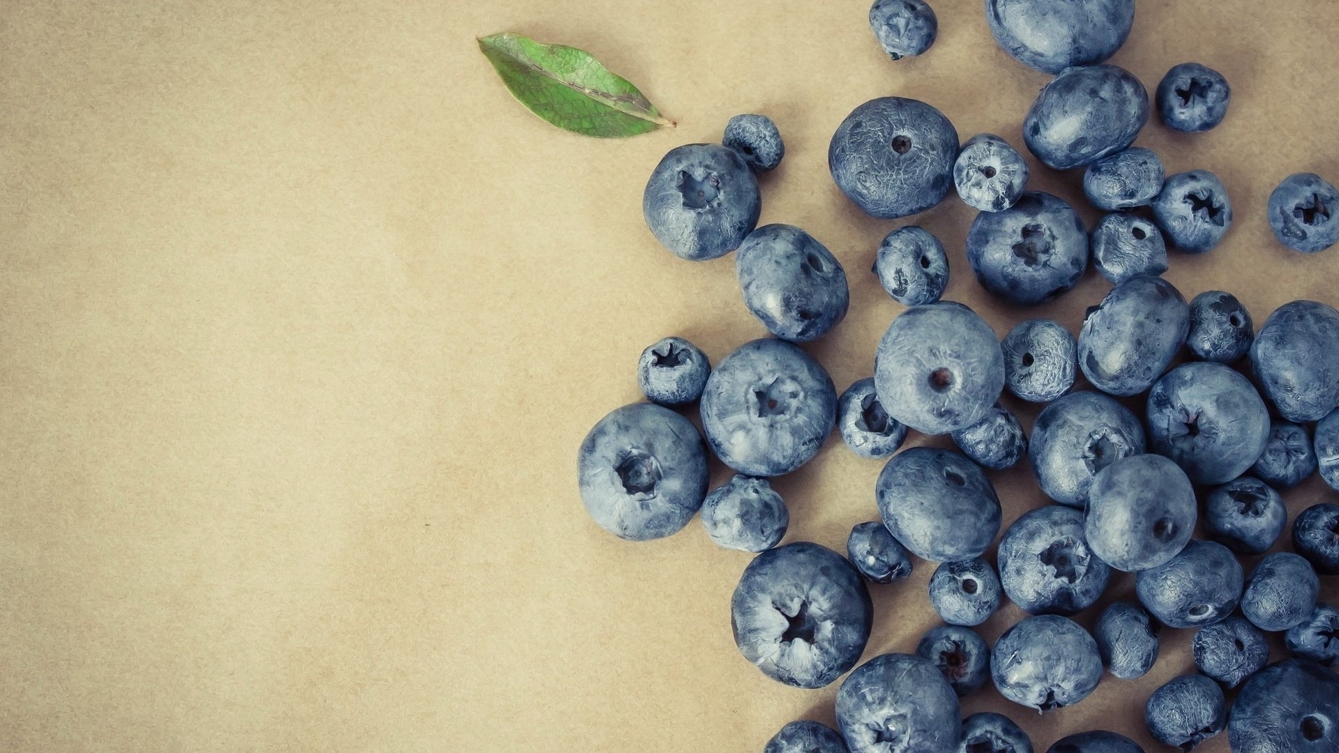 Blueberries wallpaper photo hd