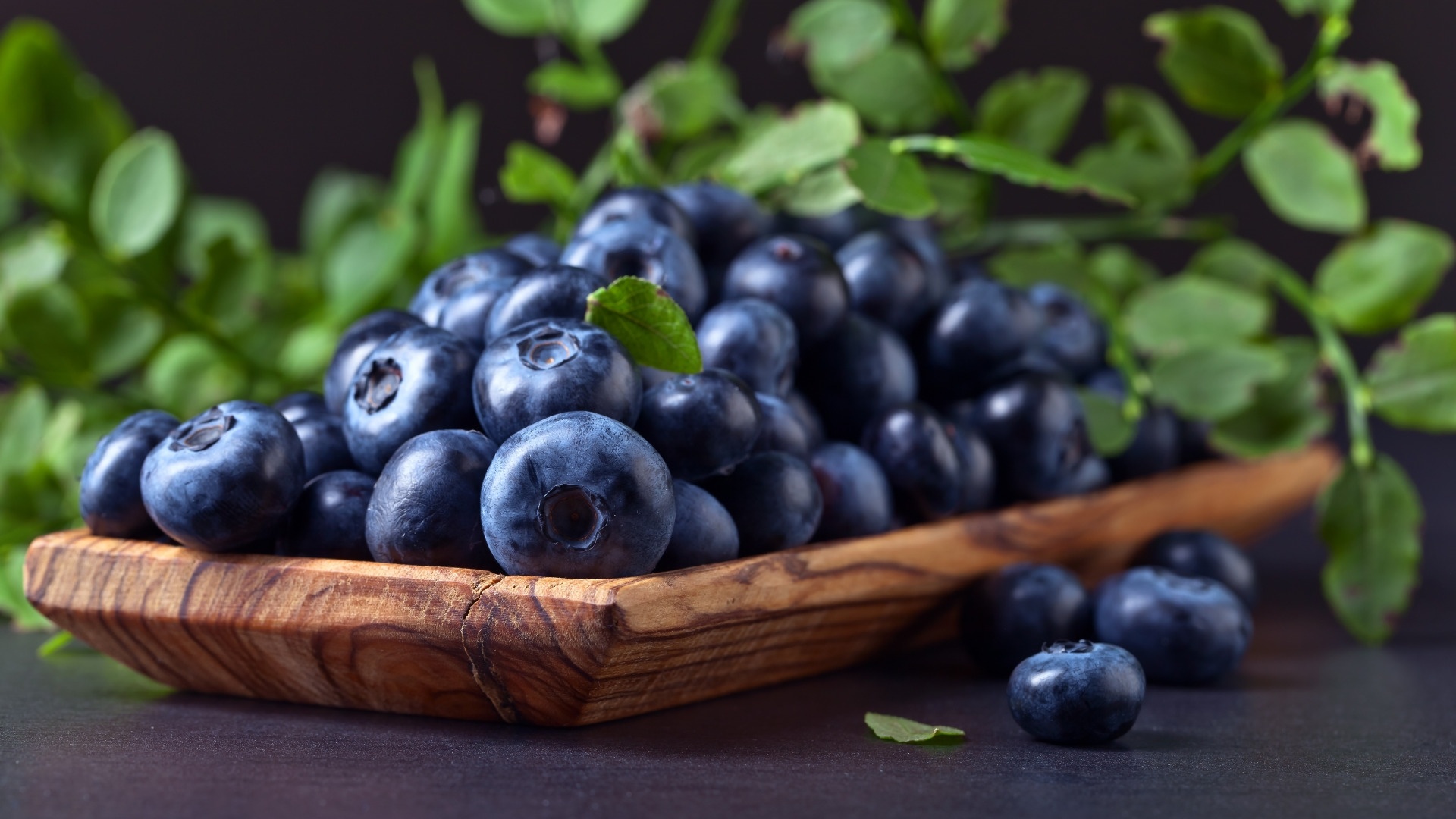 Blueberries desktop wallpaper hd