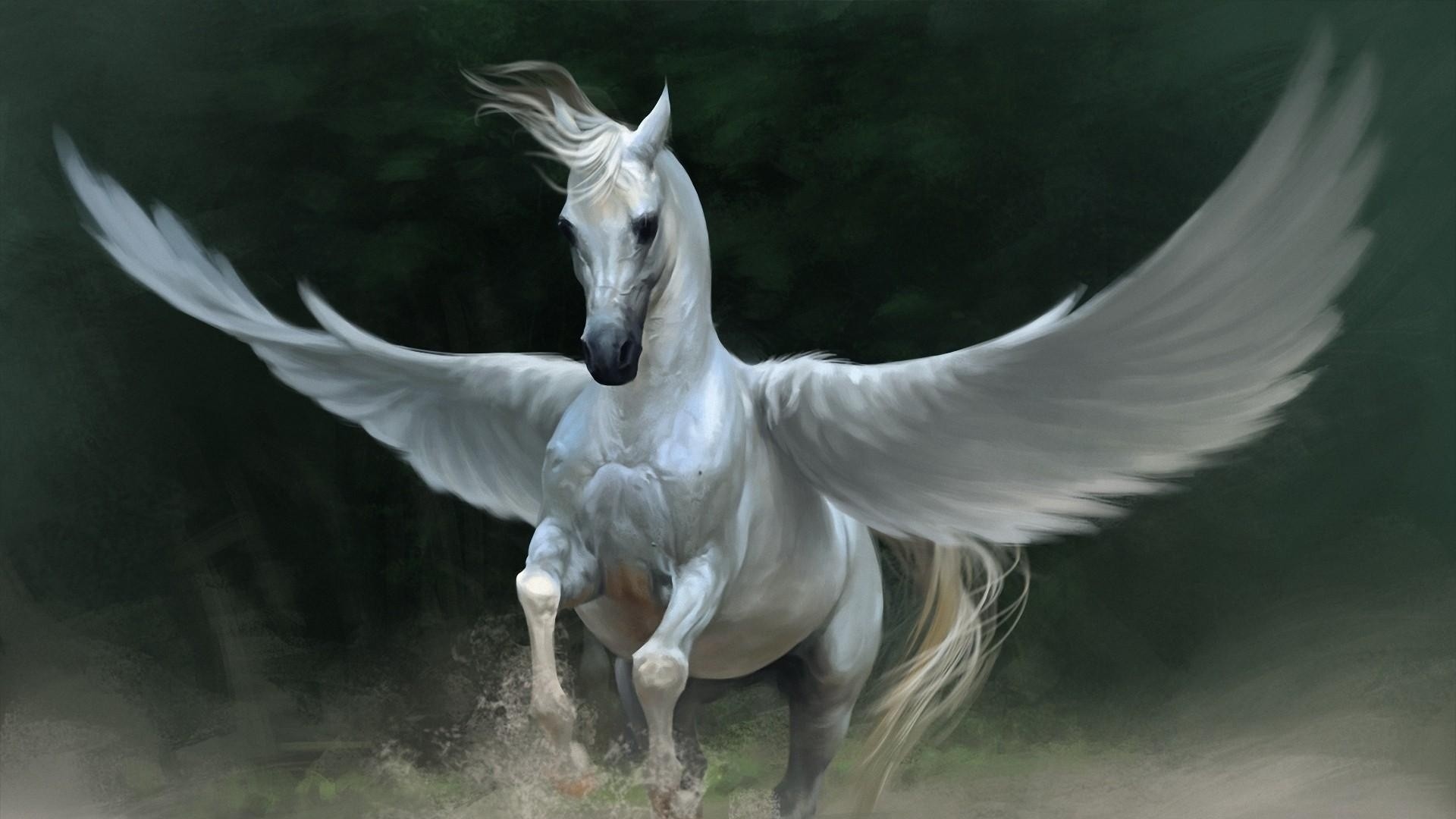 Pegasus Art HD Wallpaper