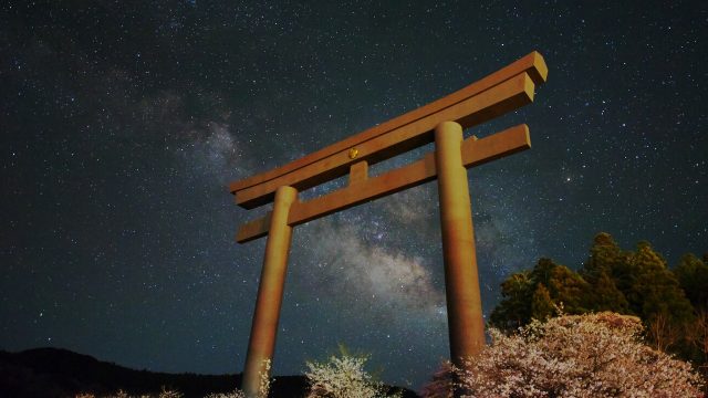 21 Torii Gate Wallpapers - Wallpaperboat