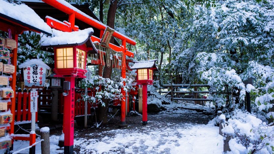 21 Torii Gate Wallpapers - Wallpaperboat