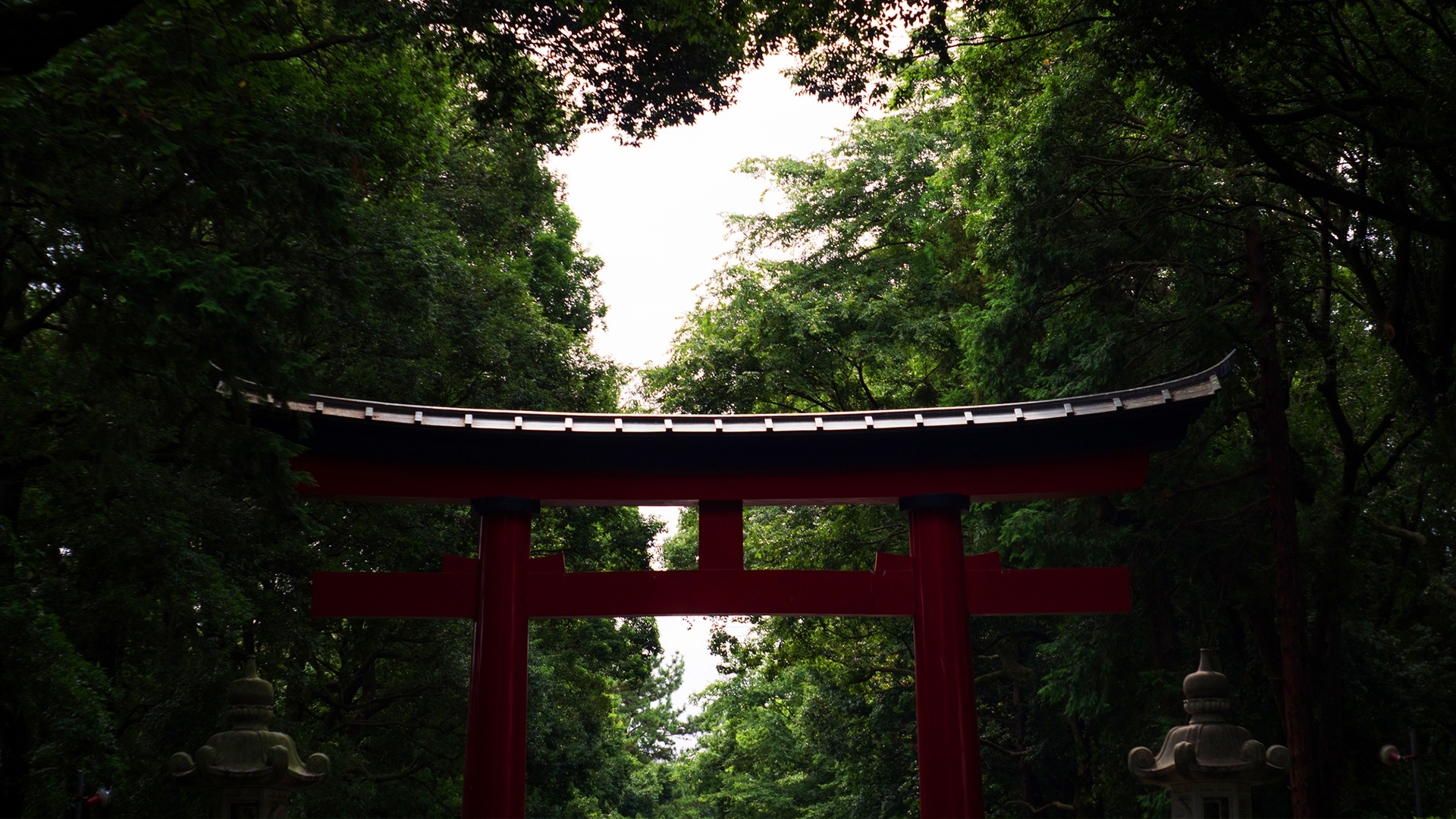 Torii Gate Picture
