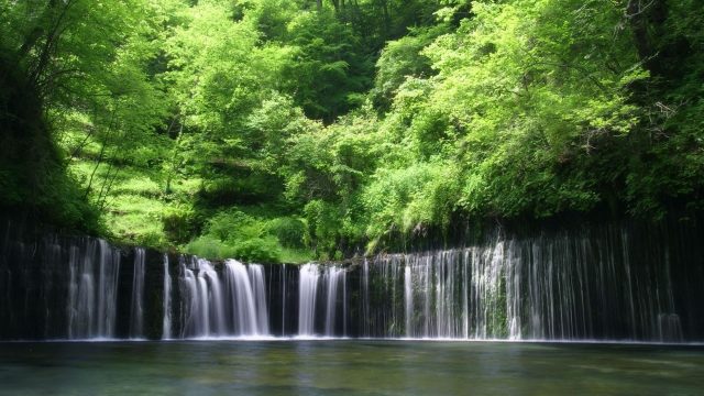 Forest Waterfall wallpaper for computer