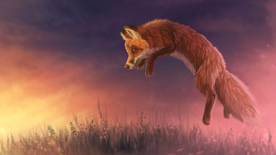 25 Fox Art Wallpapers - Wallpaperboat