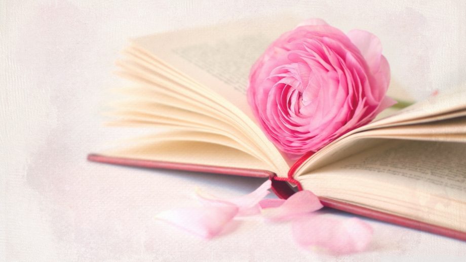 24 Book and Flower Wallpapers - Wallpaperboat