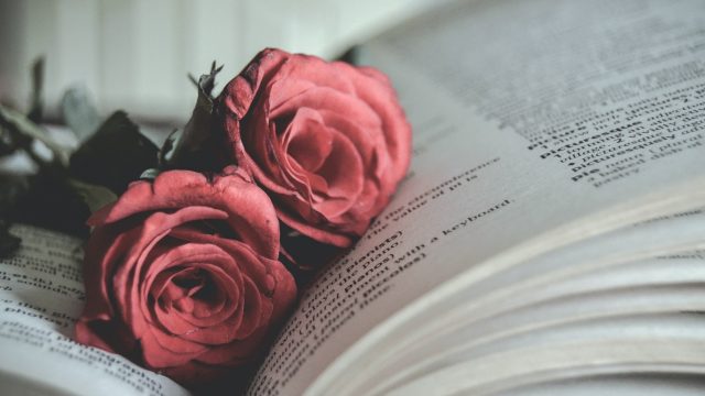 24 Book and Flower Wallpapers - Wallpaperboat