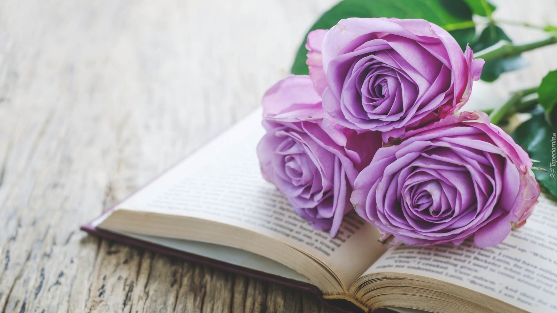 Book And Flower Image