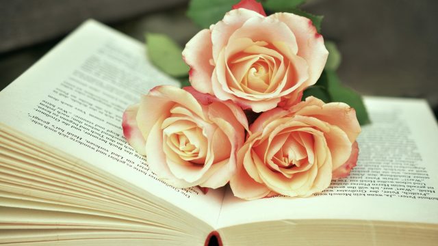 24 Book and Flower Wallpapers - Wallpaperboat