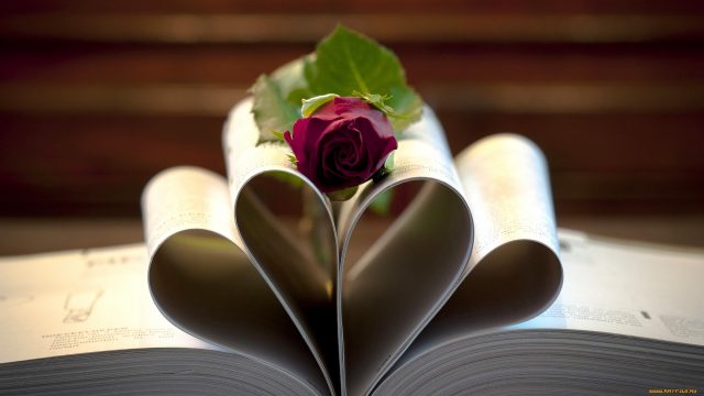 24 Book and Flower Wallpapers - Wallpaperboat