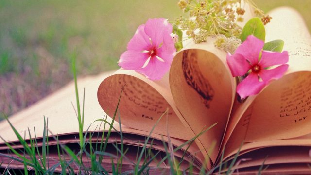 24 Book and Flower Wallpapers - Wallpaperboat