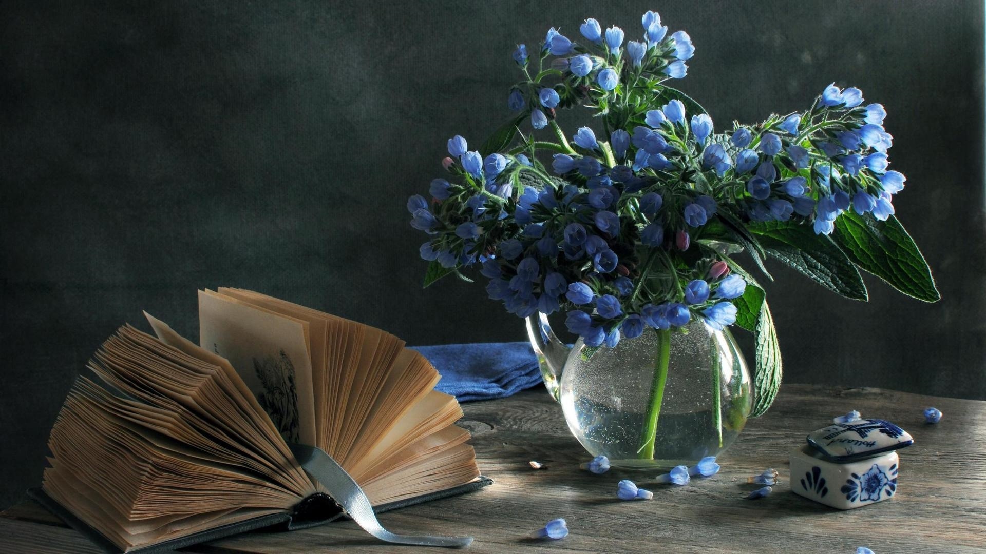 Book And Flower wallpaper photo hd