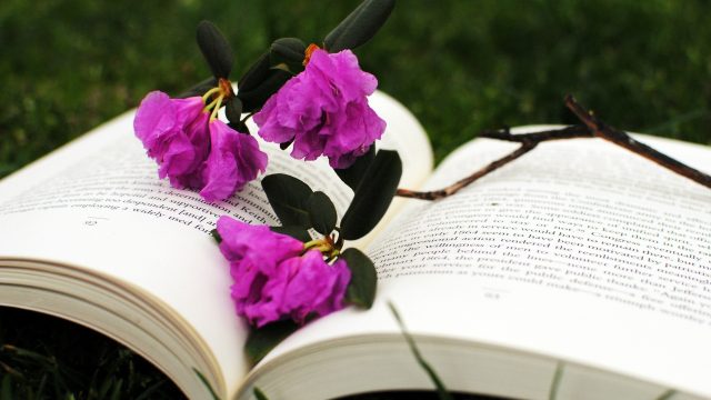 24 Book and Flower Wallpapers - Wallpaperboat