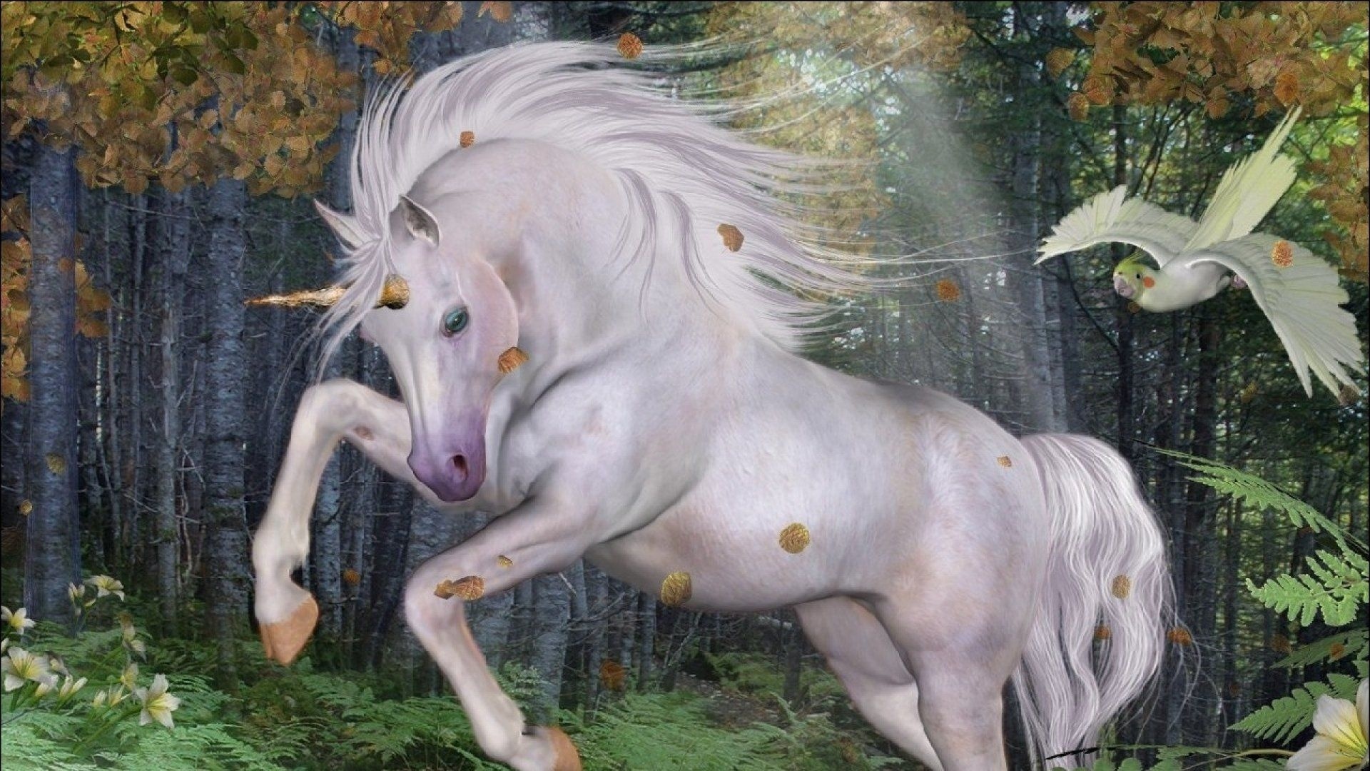 Magic Horses Desktop Wallpaper