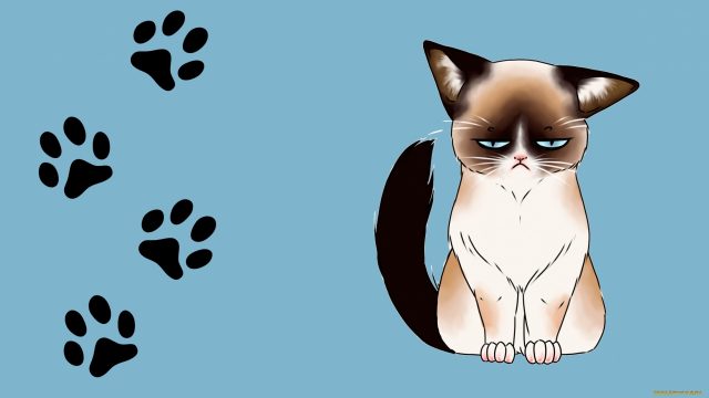 23 Drawn Cats Wallpapers - Wallpaperboat