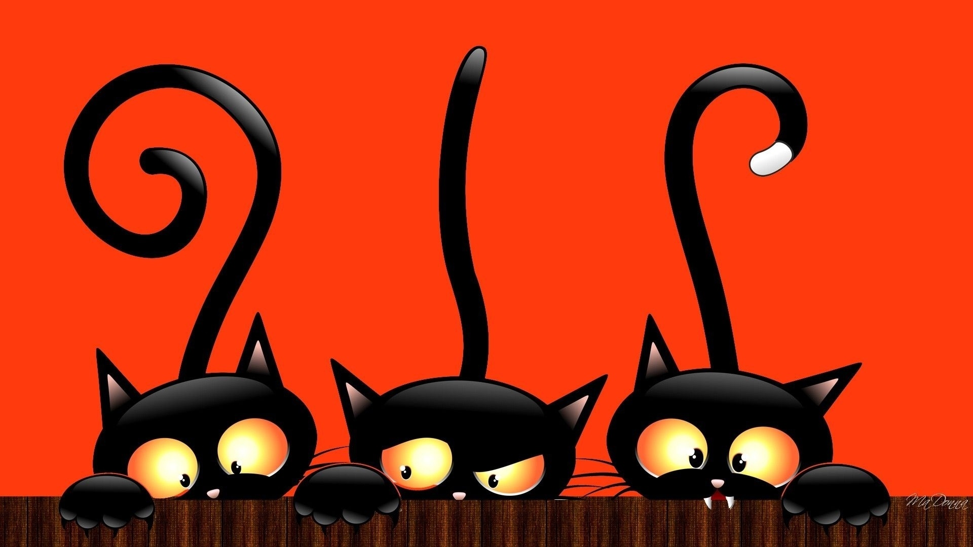 Drawn Cats wallpaper for pc