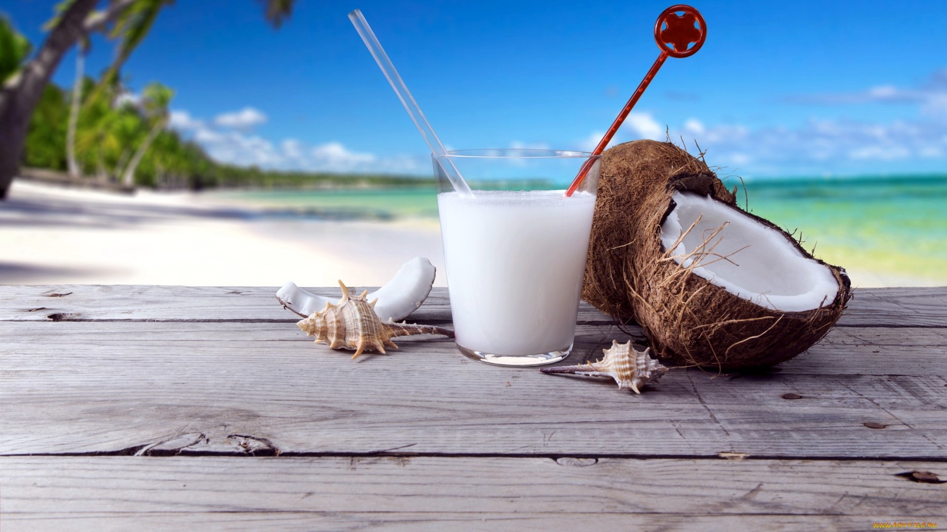 Coconuts By The Sea free background