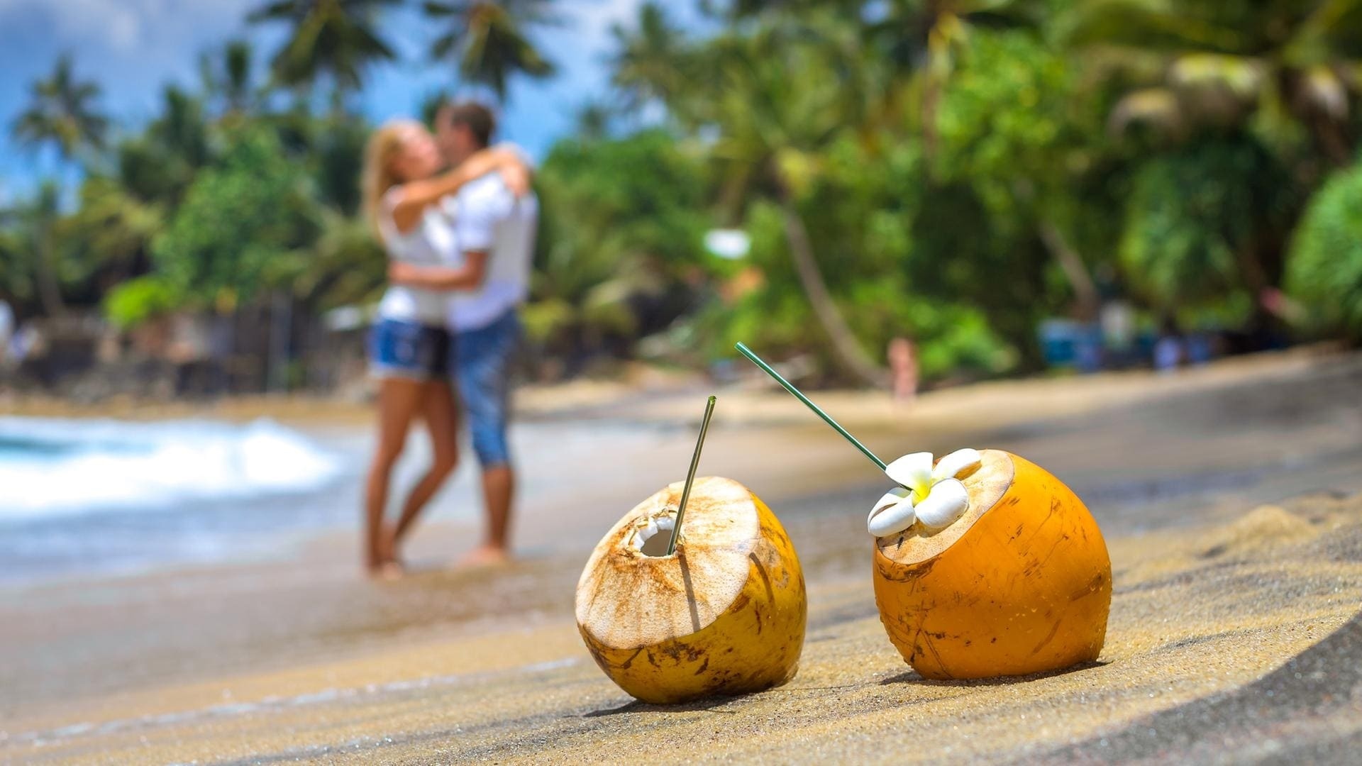 Coconuts By The Sea hd background