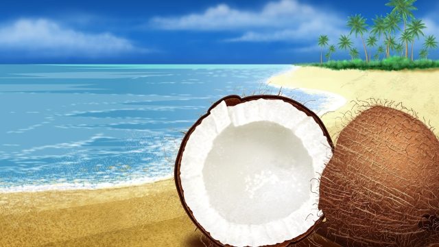 Coconuts By The Sea pc wallpaper