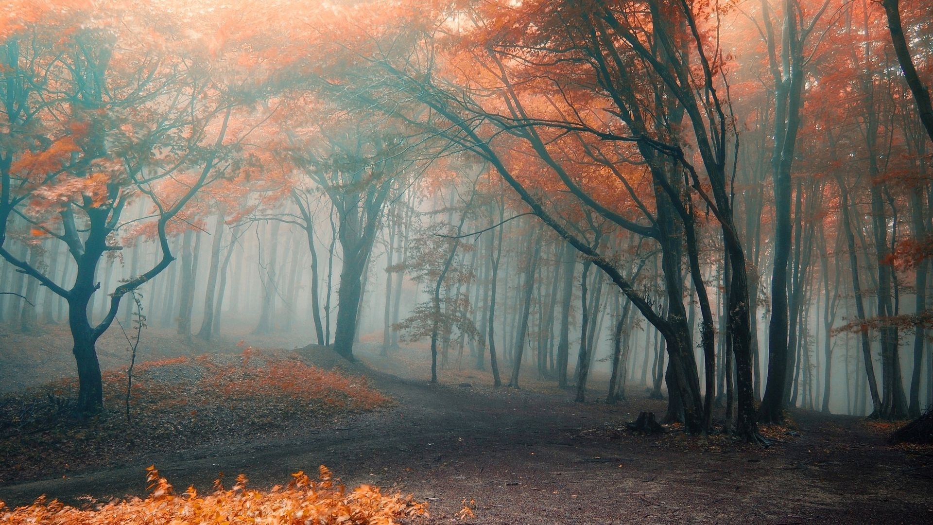 Autumn background picture