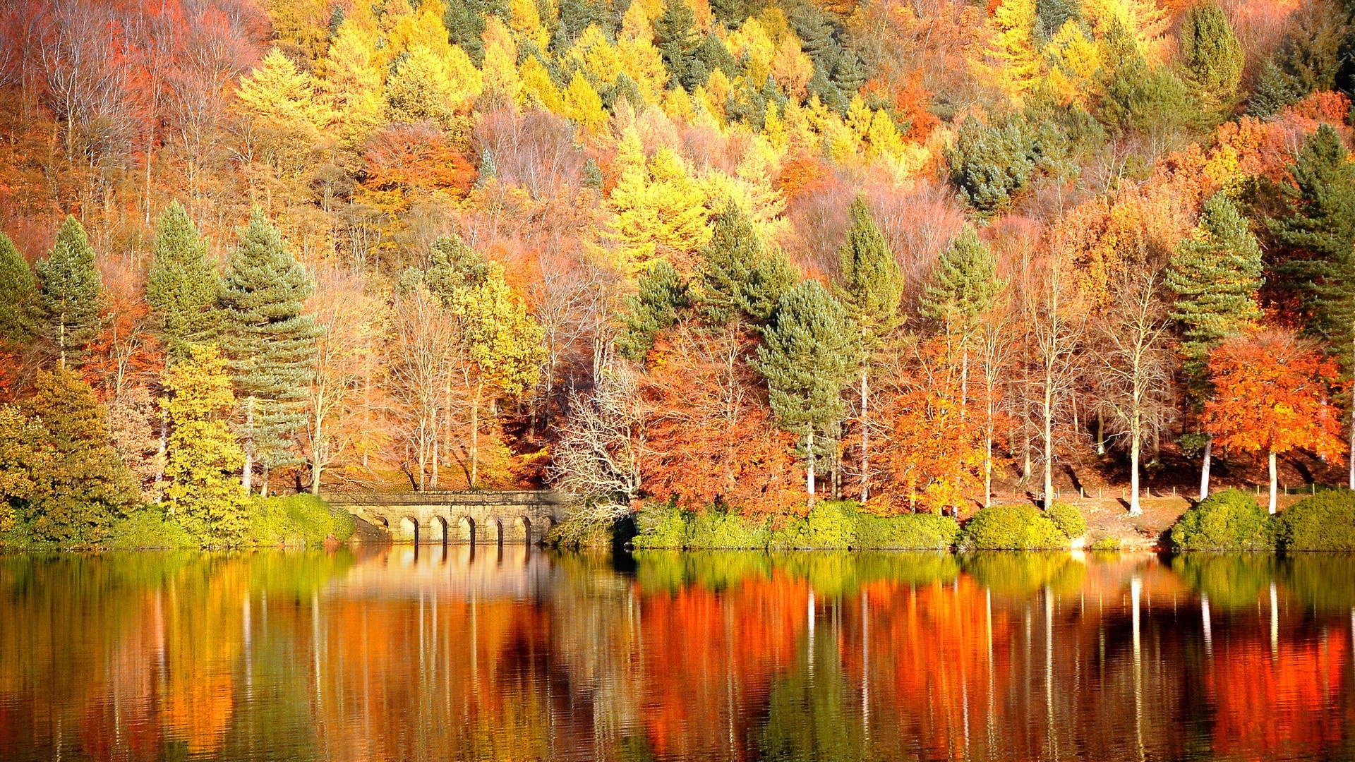 Autumn desktop background