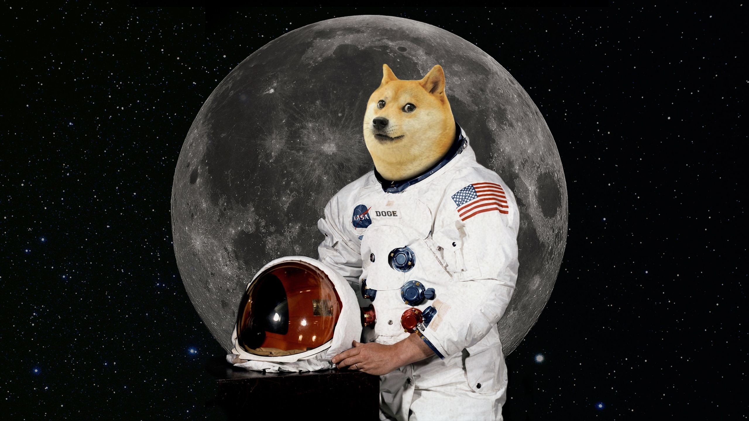 Doge Meme free background