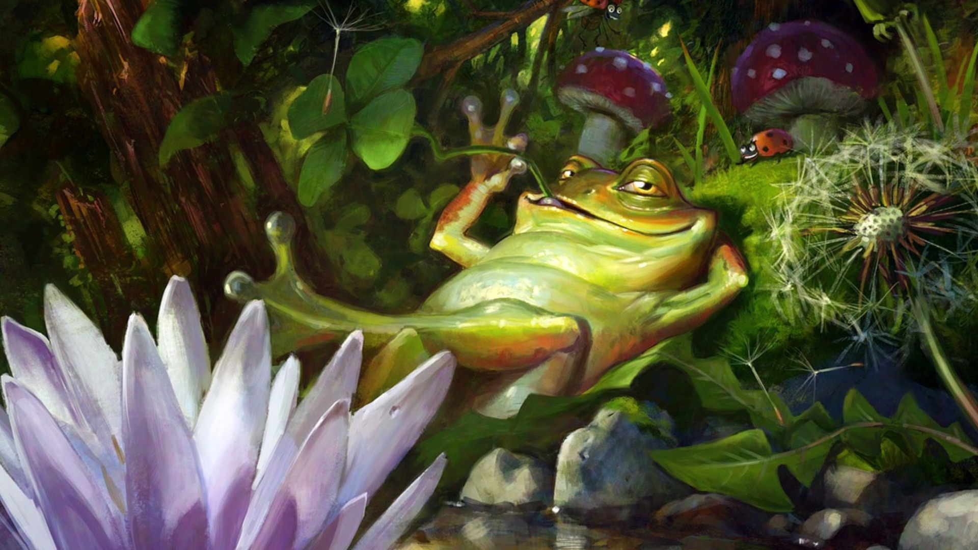 Cartoon Frog free wallpaper