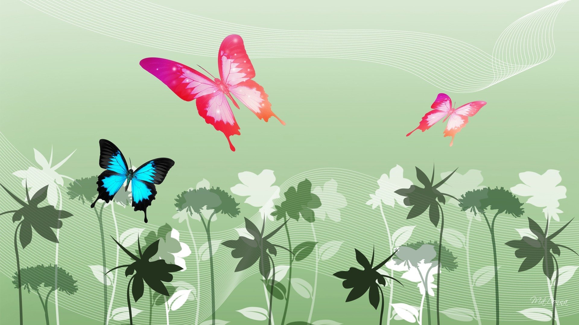 Butterfly computer background
