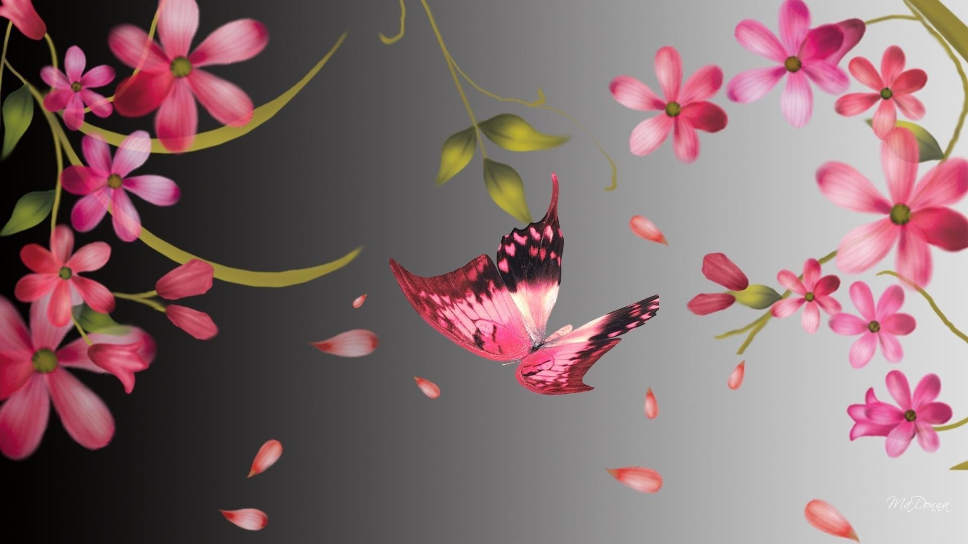 Butterfly wallpaper hd