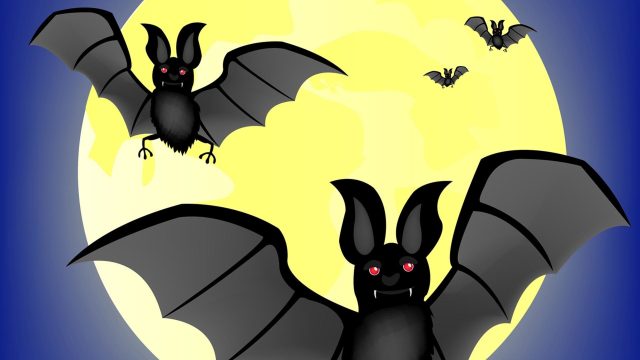 Halloween Bats wallpaper hd