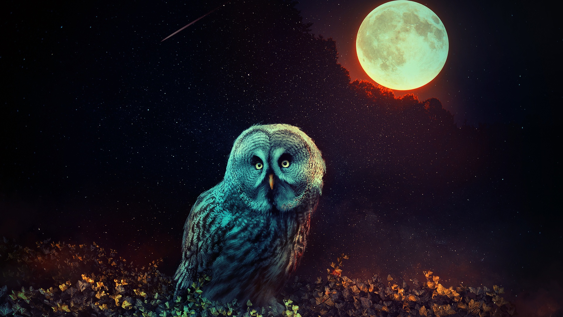 Halloween Owl free wallpaper