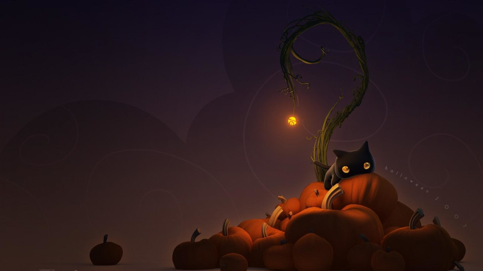 Halloween Cat free image