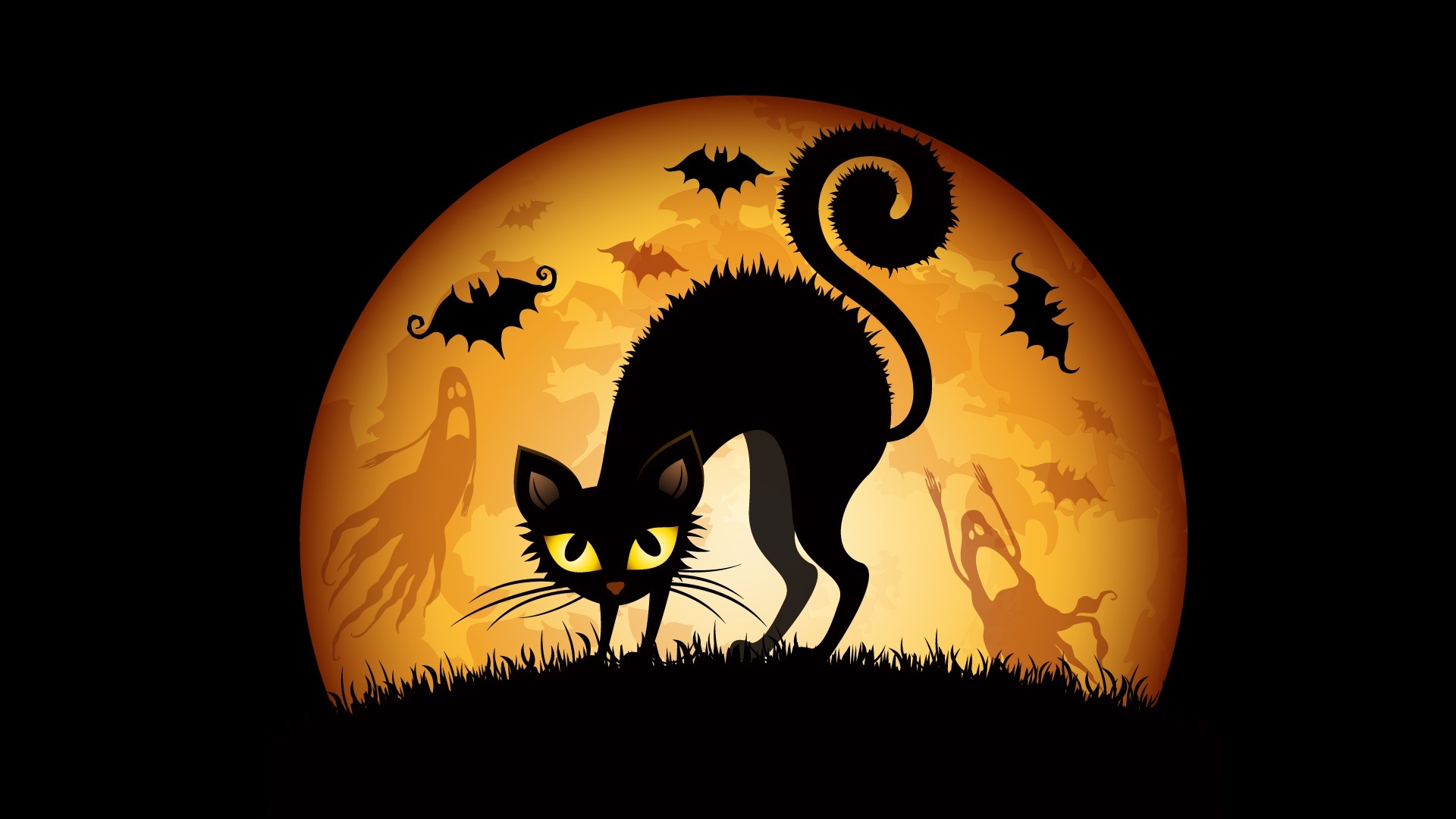 Halloween Cat cool wallpaper