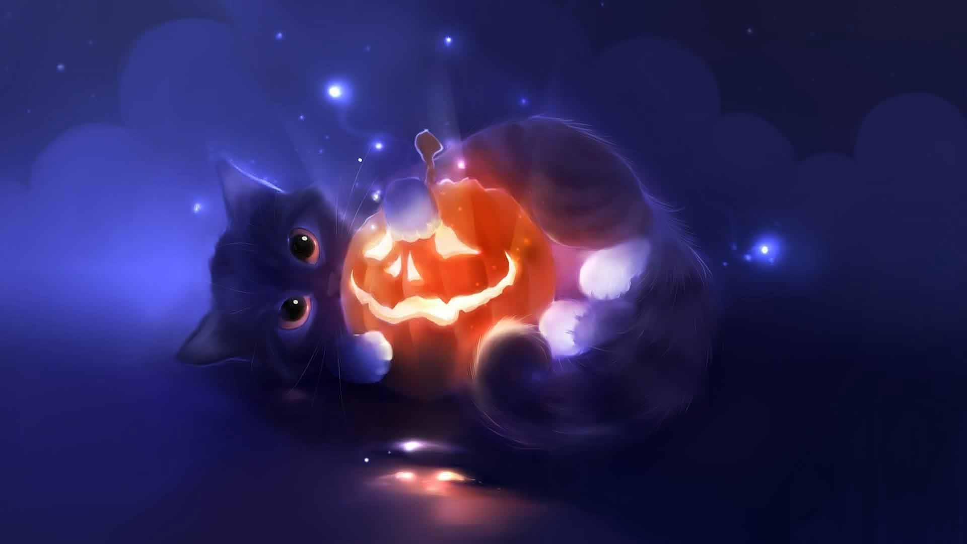 Halloween Cat best wallpaper