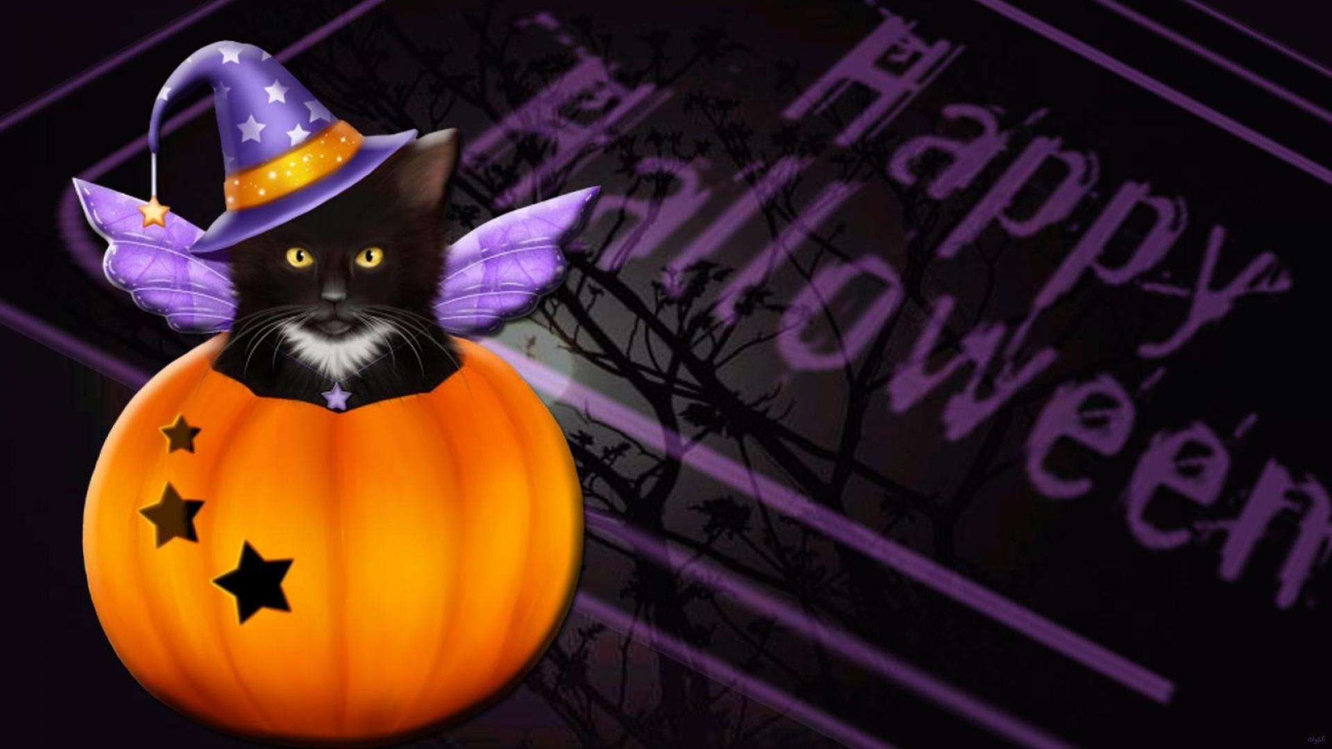 Halloween Cat desktop wallpaper