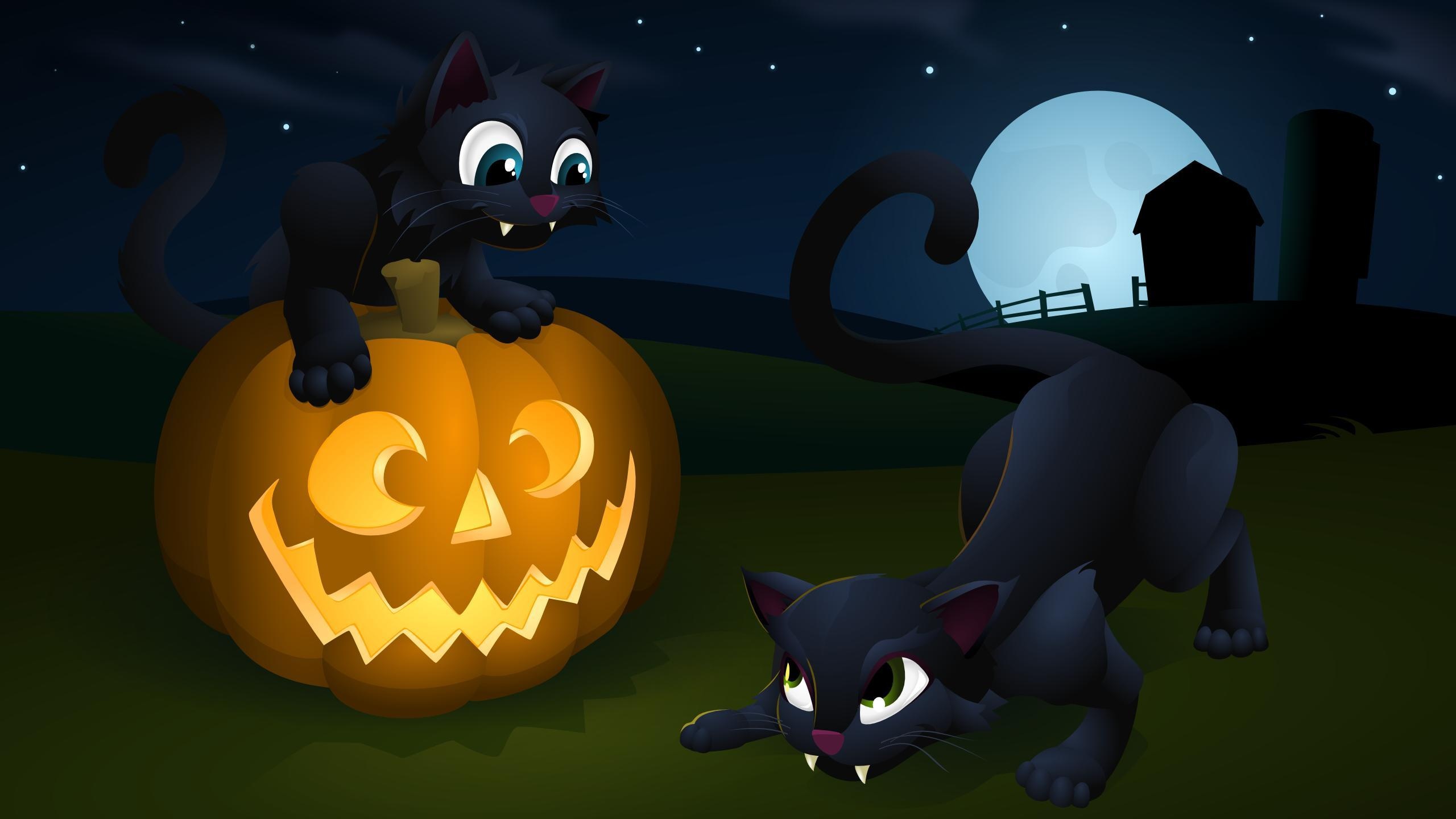 Halloween Cat desktop background
