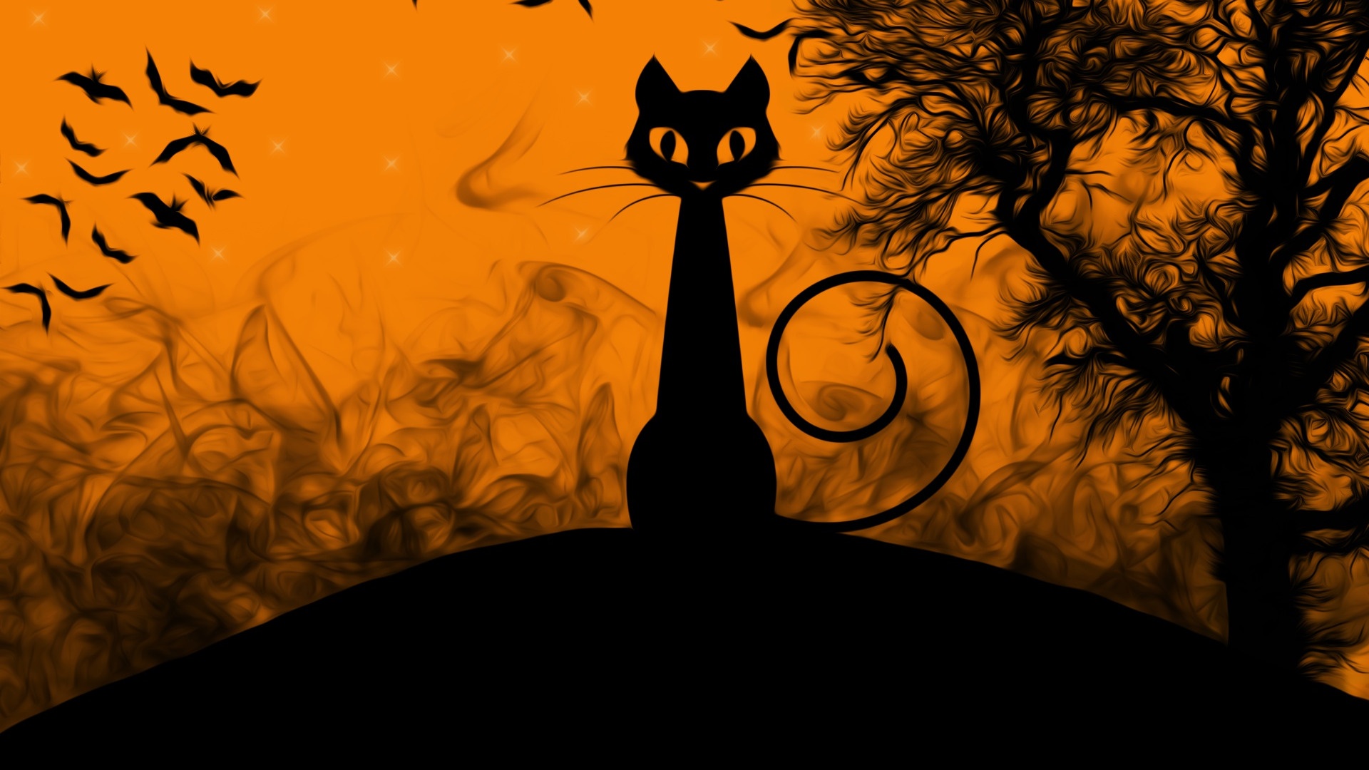 Halloween Cat 1920x1080 wallpaper