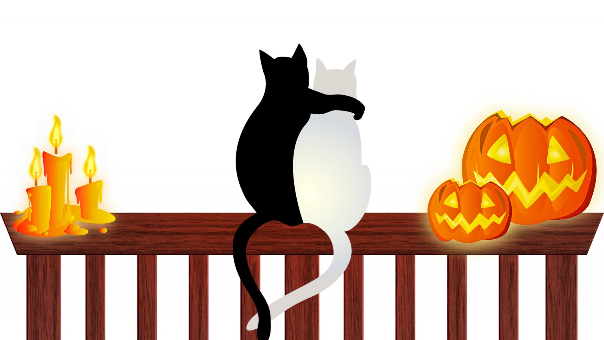 Halloween Cat desktop wallpaper free download