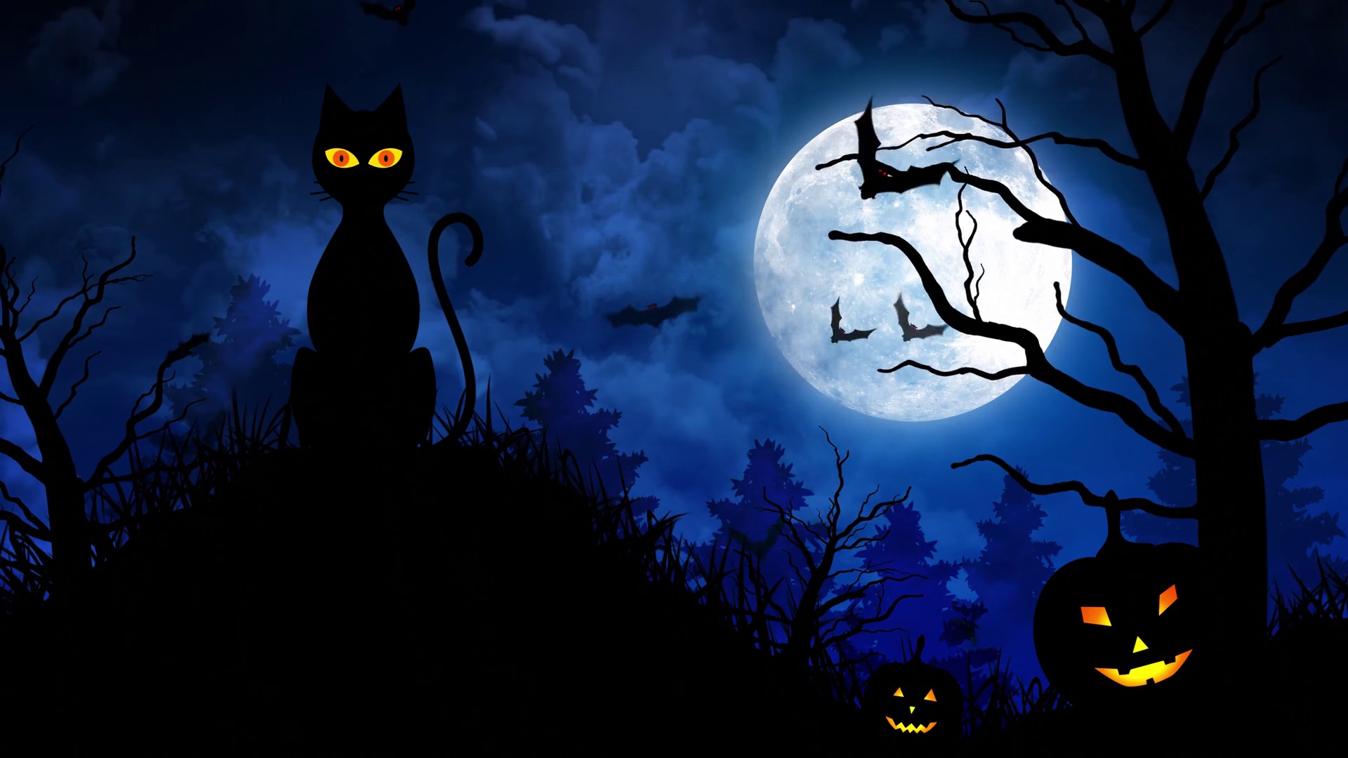 Halloween Cat free picture
