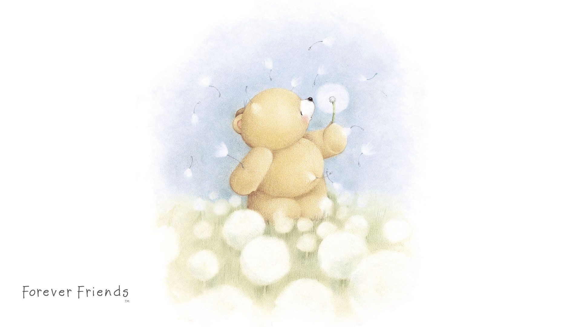 Forever Friends Bear hd background