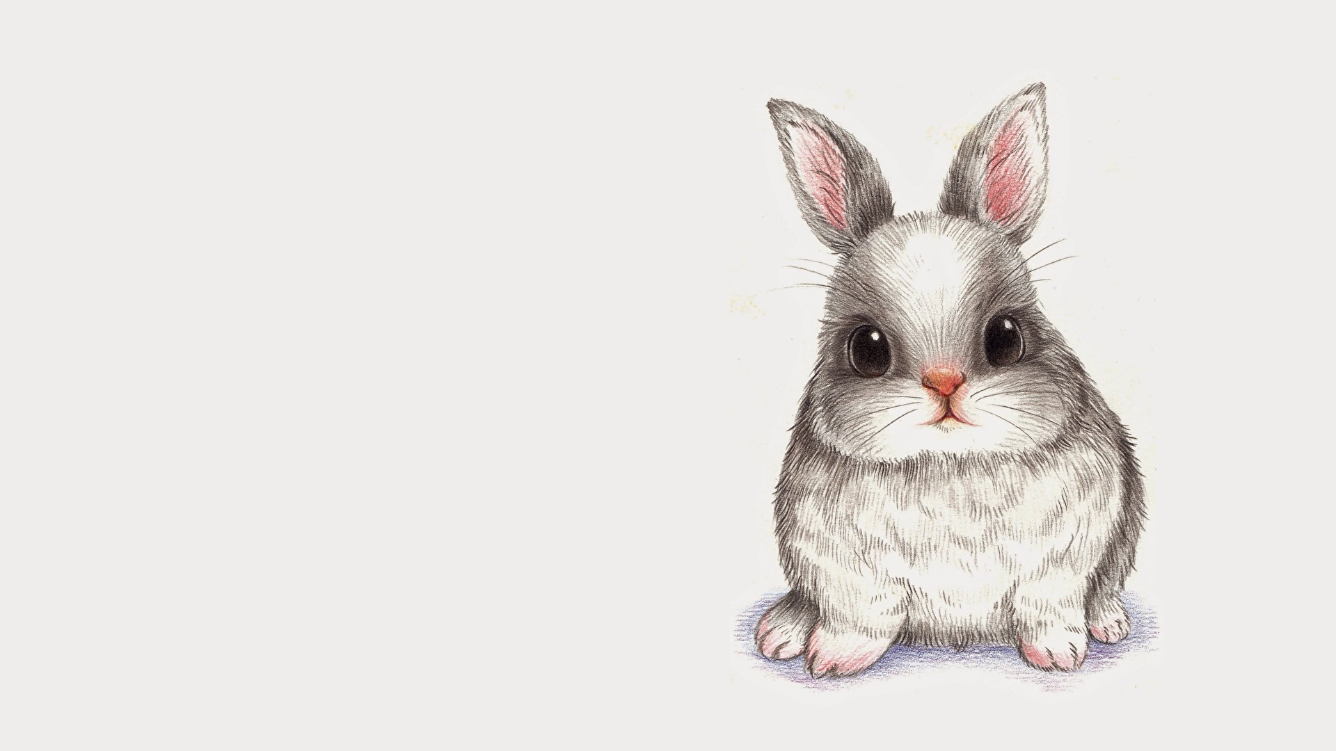 Cartoon Rabbit desktop wallpaper free download