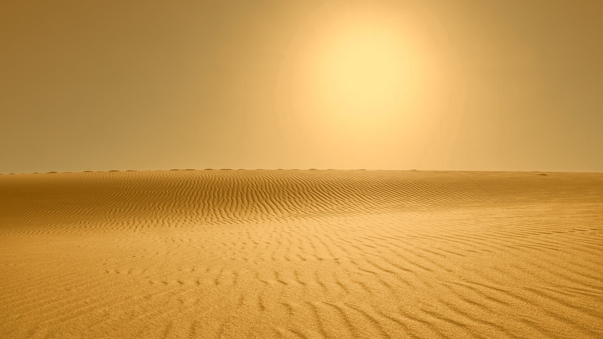 Desert Sun cool background