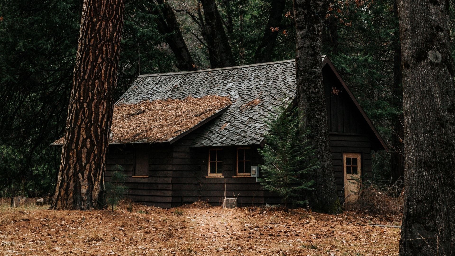 Wood House 1080p wallpaper