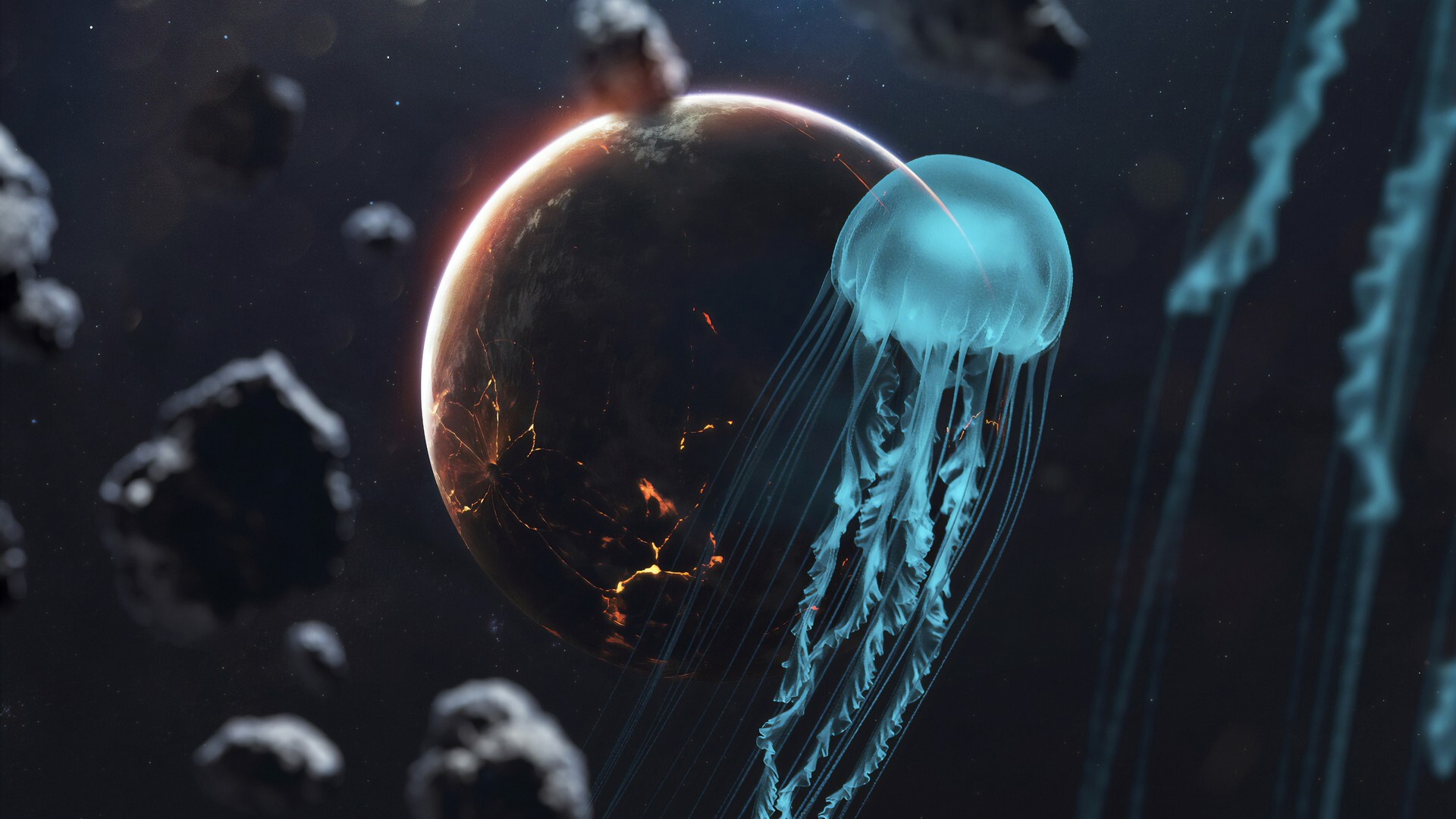 Fantastic Jellyfish 1080p wallpaper