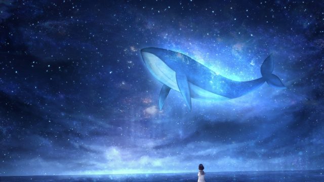 24 Flying Whale Wallpapers - Wallpaperboat