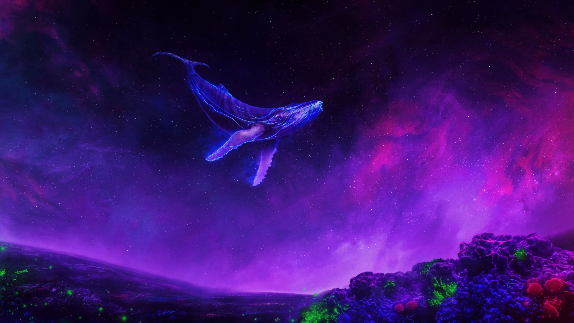 Flying Whale cool wallpaper